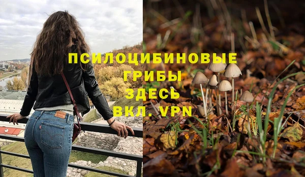 экстази Алексеевка