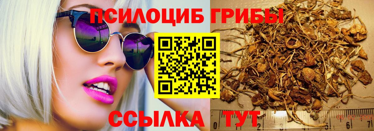 Белебей  Галлюциногенные грибы Psilocybe  Вход с VPN  даркнет сайт  Галлюциногенные грибы мицелий 